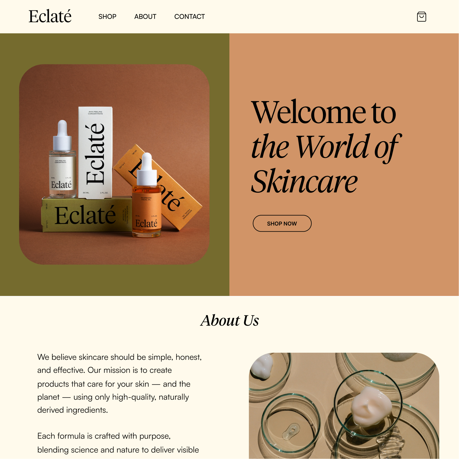 template-section.carousel-2.image-3.alt